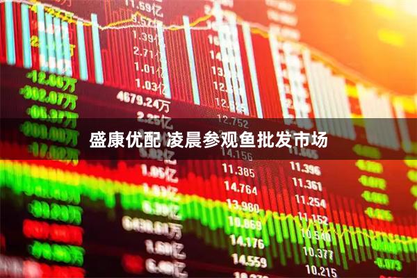 盛康优配 凌晨参观鱼批发市场