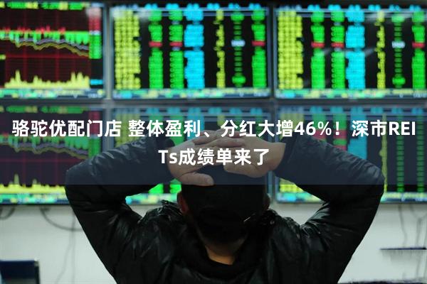 骆驼优配门店 整体盈利、分红大增46%！深市REITs成绩单来了